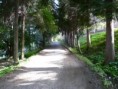 /album/fotogaleria/img3-jpg1/